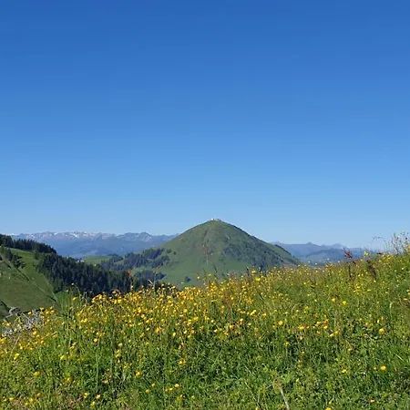 Sappl * Scheffau am Wilden Kaiser