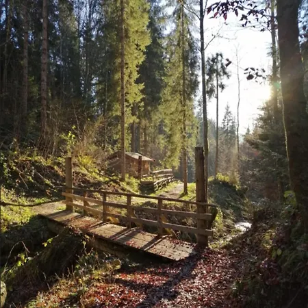 Sappl 아파트 쉐파우암윌던카이저