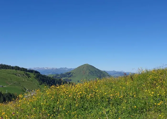 Sappl * Scheffau am Wilden Kaiser