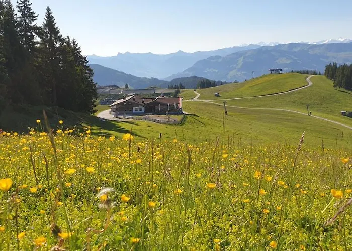 Sappl Scheffau am Wilden Kaiser