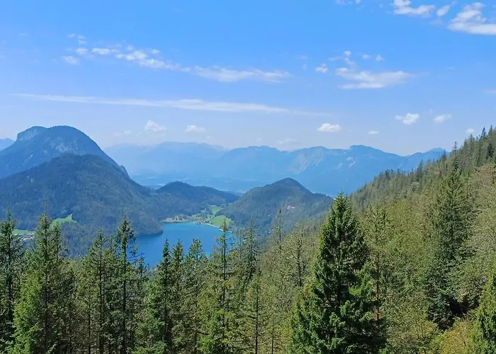 Sappl * Scheffau am Wilden Kaiser